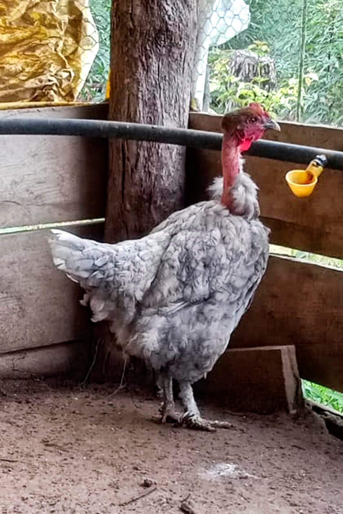 WhatsApp Image 2025-04-03 at 7.35.46 PM copia.jpg